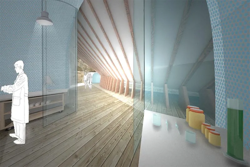 Isla de las Palomas, Tarifa 18